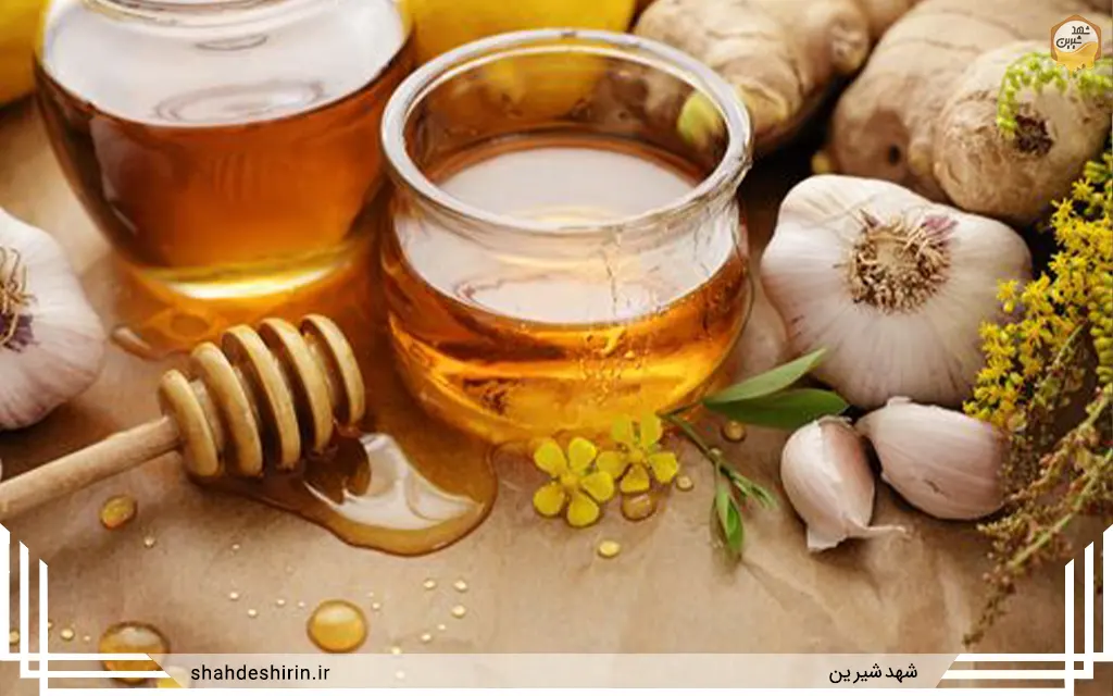 سیر و عسل برای کاهش وزن